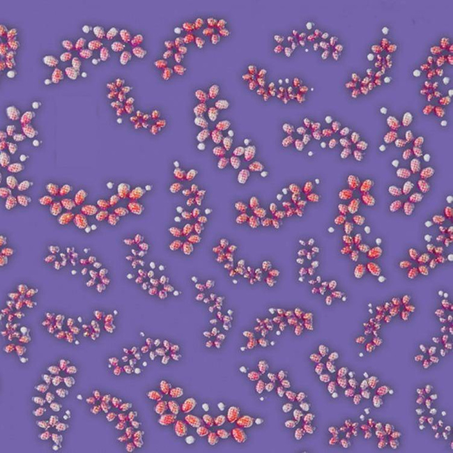 Naklejki na paznokcie małe czerwone kwiatki