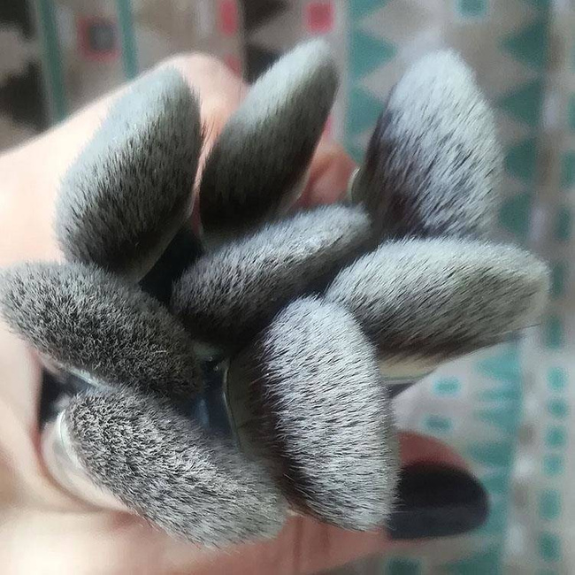 Pędzel do różu i konturowania twarzy